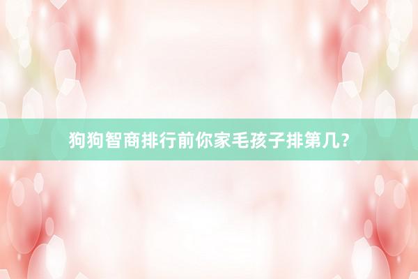 狗狗智商排行前你家毛孩子排第几?